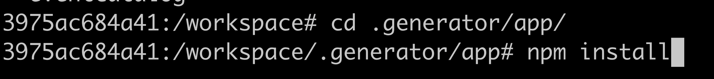 NPM Install